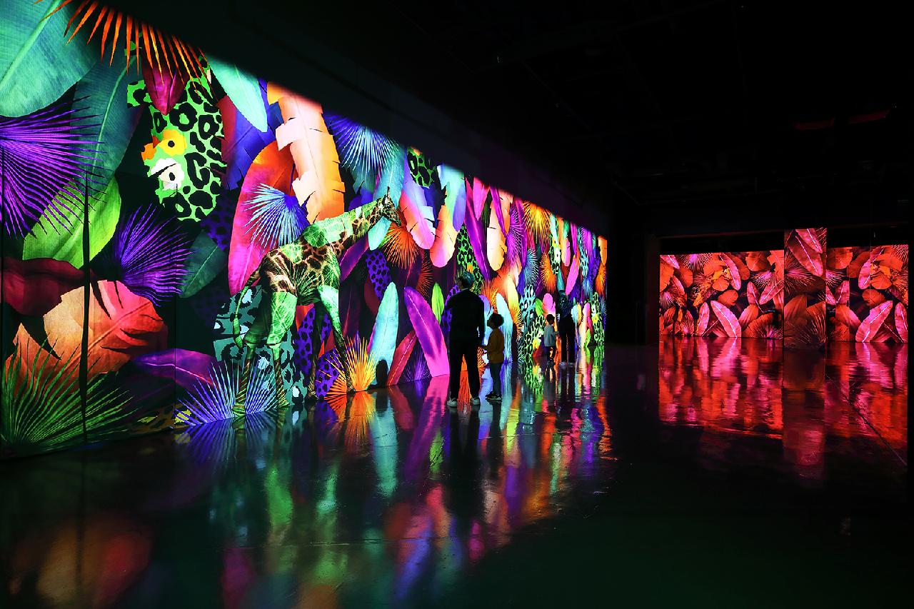 Preview of Arte Museum: A unique digital art venue in Las Vegas featuring 14 stunning projections of natural elements and sensory experiences. Opening in November. #ArteMuseum #LasVegasArt